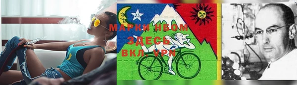 spice Бронницы