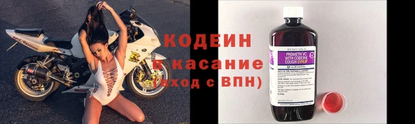 ПСИЛОЦИБИНОВЫЕ ГРИБЫ Верхний Тагил