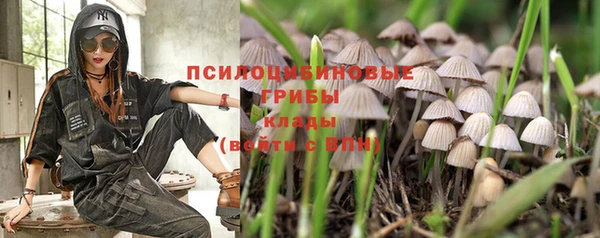 ПСИЛОЦИБИНОВЫЕ ГРИБЫ Верхний Тагил